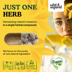 Non-GMO and gluten-free certification badge on maca packaging