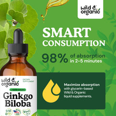 Serving size 120 mg ginkgo biloba extract per dose