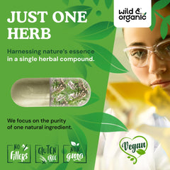 Plant-based coating and vegan-friendly ingredients icon