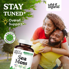 Close-up of sea moss powder and capsule texture