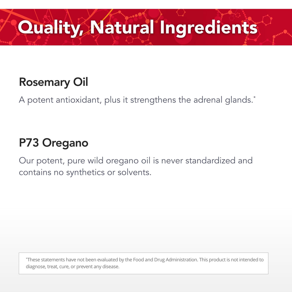 Close-up image of wild rosemary essence ingredients