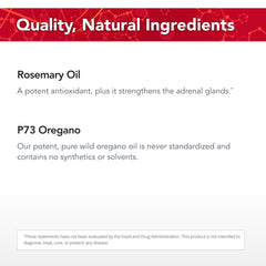 Close-up image of wild rosemary essence ingredients