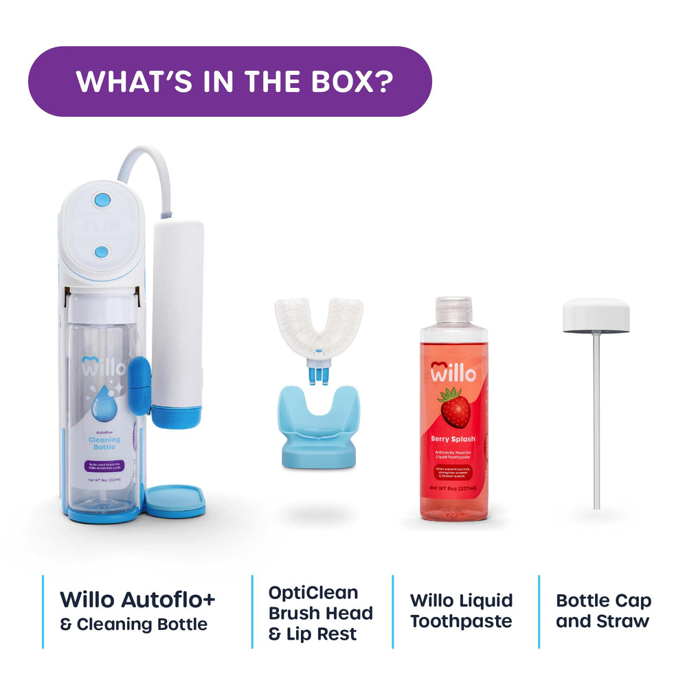 Willo Berry Splash small packaging box