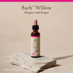 Willow 20mL bottle with packaging