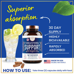Close-up of vegan non-GMO capsules for Windsor Botanicals product
