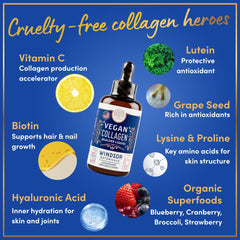 Illustration of organic fruits and vegetables in the vegan collagen formula