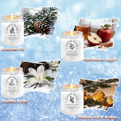 Balsam Fir 7oz soy candle from the Winter Gift Set in a clear glass jar
