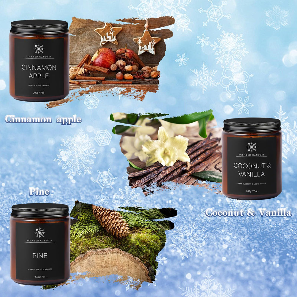 Cedarwood & Balsam Fir scented candle from the winter 6-pack