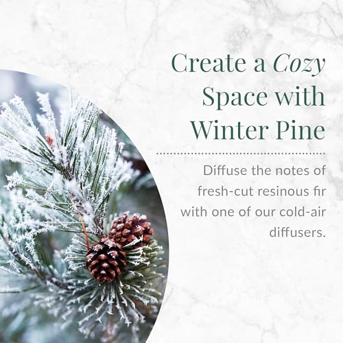 Holiday pine aroma oil bottle on wooden surface