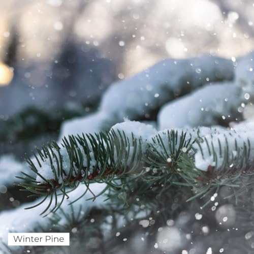 Pine and fir tree fragrance oil bottle with fresh greenery