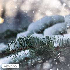 Pine and fir tree fragrance oil bottle with fresh greenery