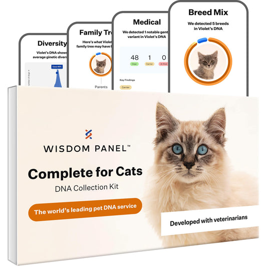 Wisdom Panel Complete Cat DNA Test Kit Pack of 2 — front packaging