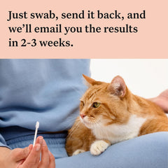 Sample collection vial and swab for cat DNA testing