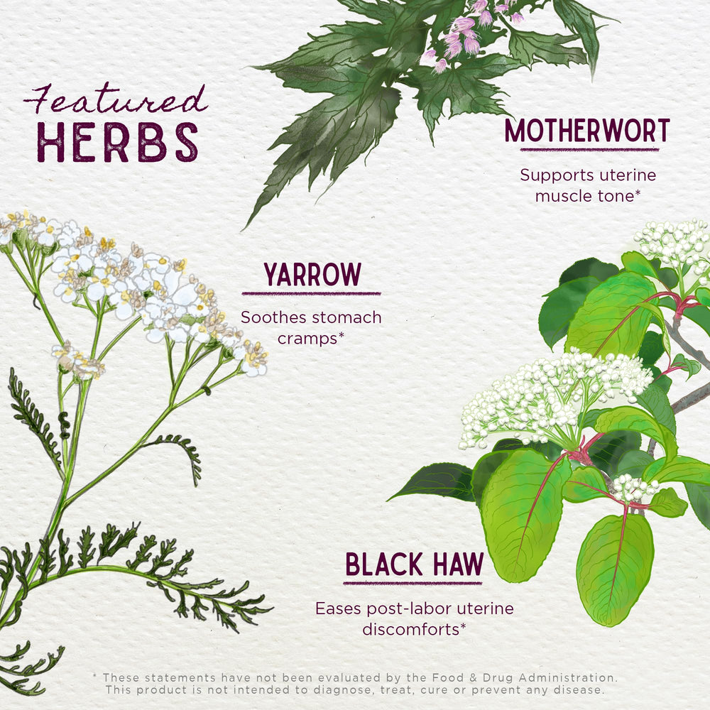 WishGarden AfterEase Black Haw Bark—traditional support for soothing contractions.