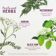 WishGarden AfterEase Black Haw Bark—traditional support for soothing contractions.