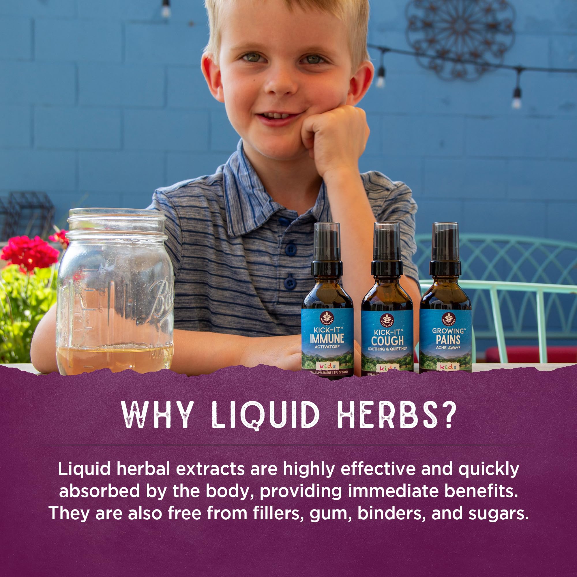 Milky Oats herb used in the calming tincture
