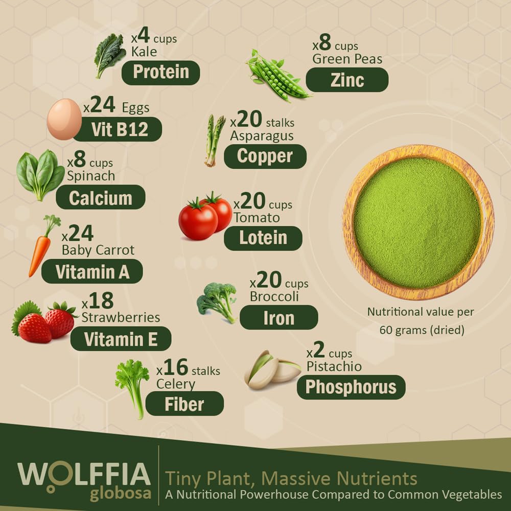 Close-up of dried Wolffia globosa powder texture