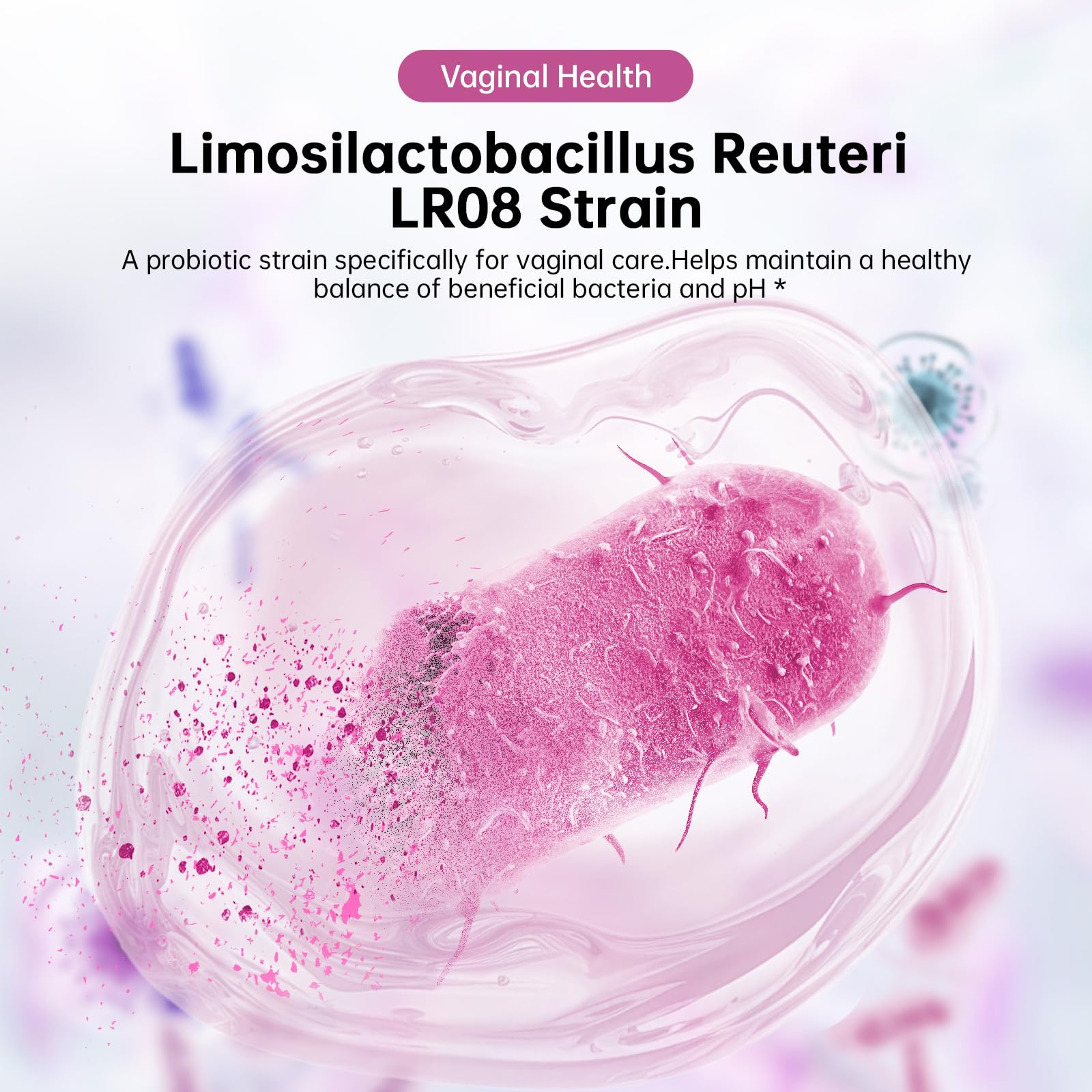 Immune-supporting probiotic Lactococcus lactis LC15