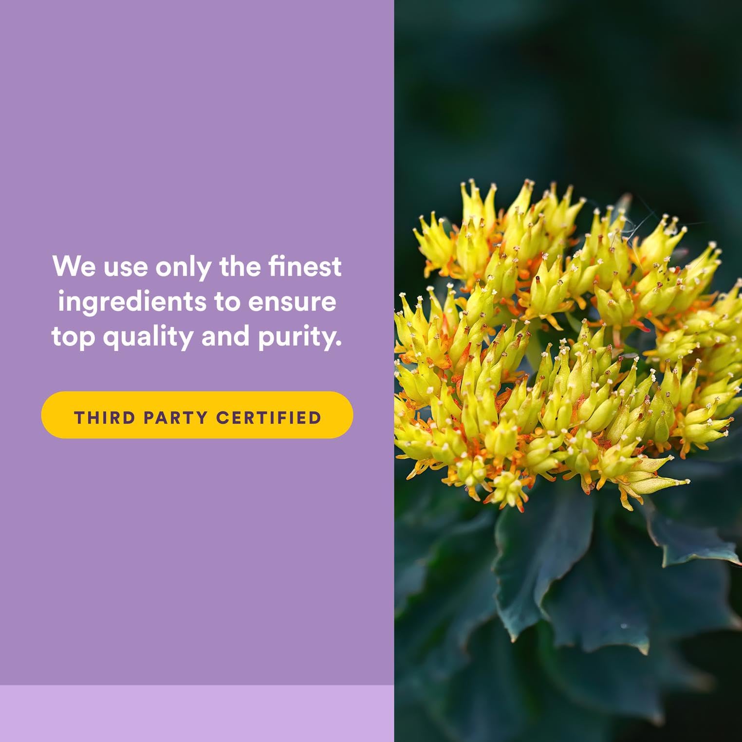 AdrenaSense box and bottle with vegan and non-GMO claims