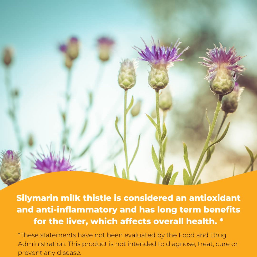 Non-GMO, soy-free, sugar-free, corn-free icons