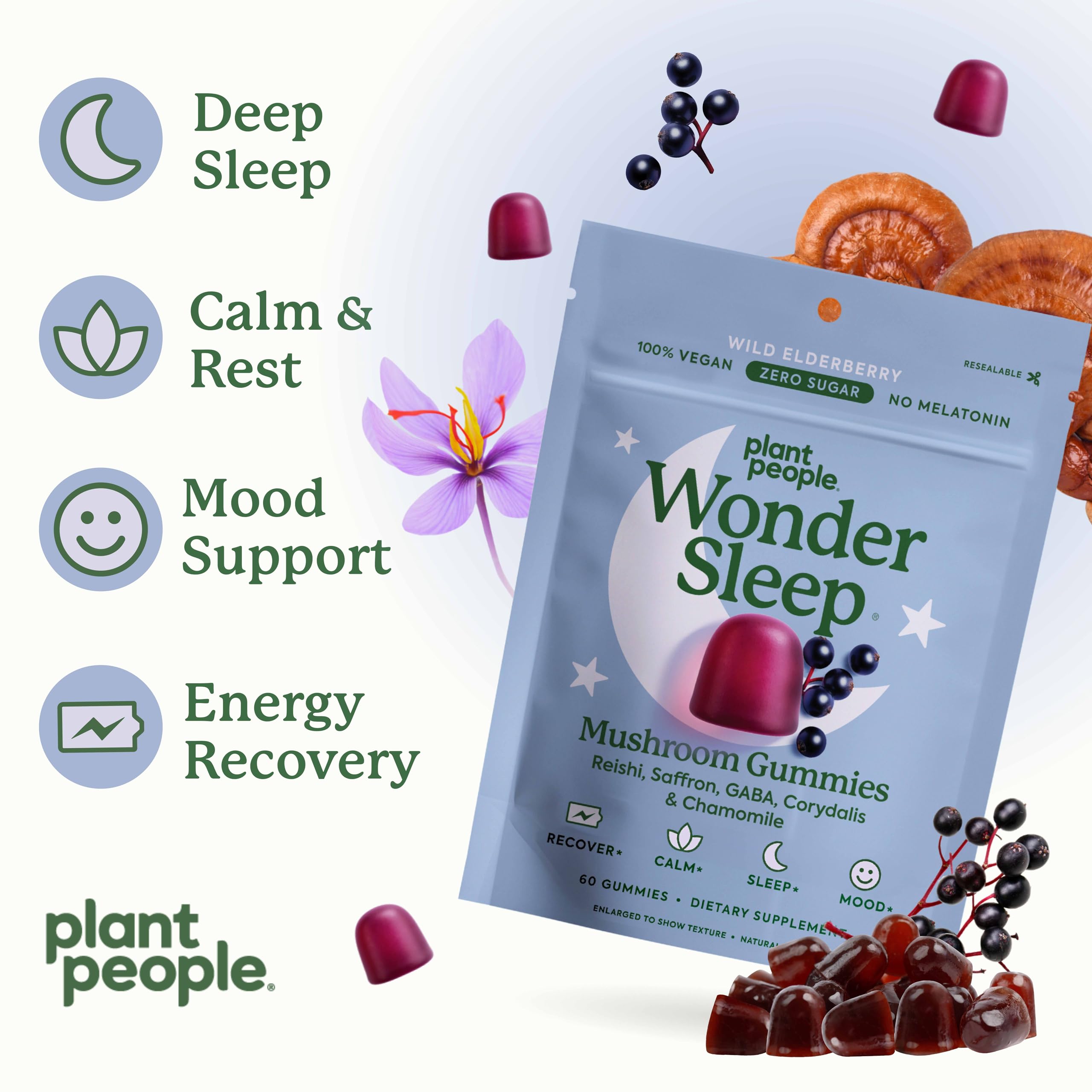 Close-up of Reishi mushroom ingredient in WonderSleep