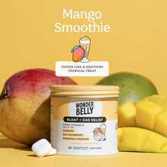 Wonderbelly no dyes or talc—vegan formula for clean relief