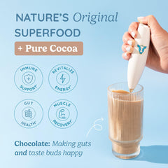 Chocolate cacao-infused colostrum powder flavoring