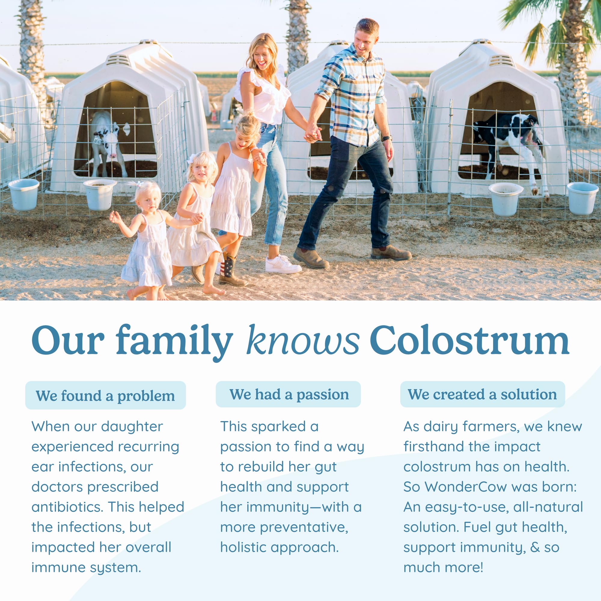 Colostrum powder promoting muscle recovery and wellness