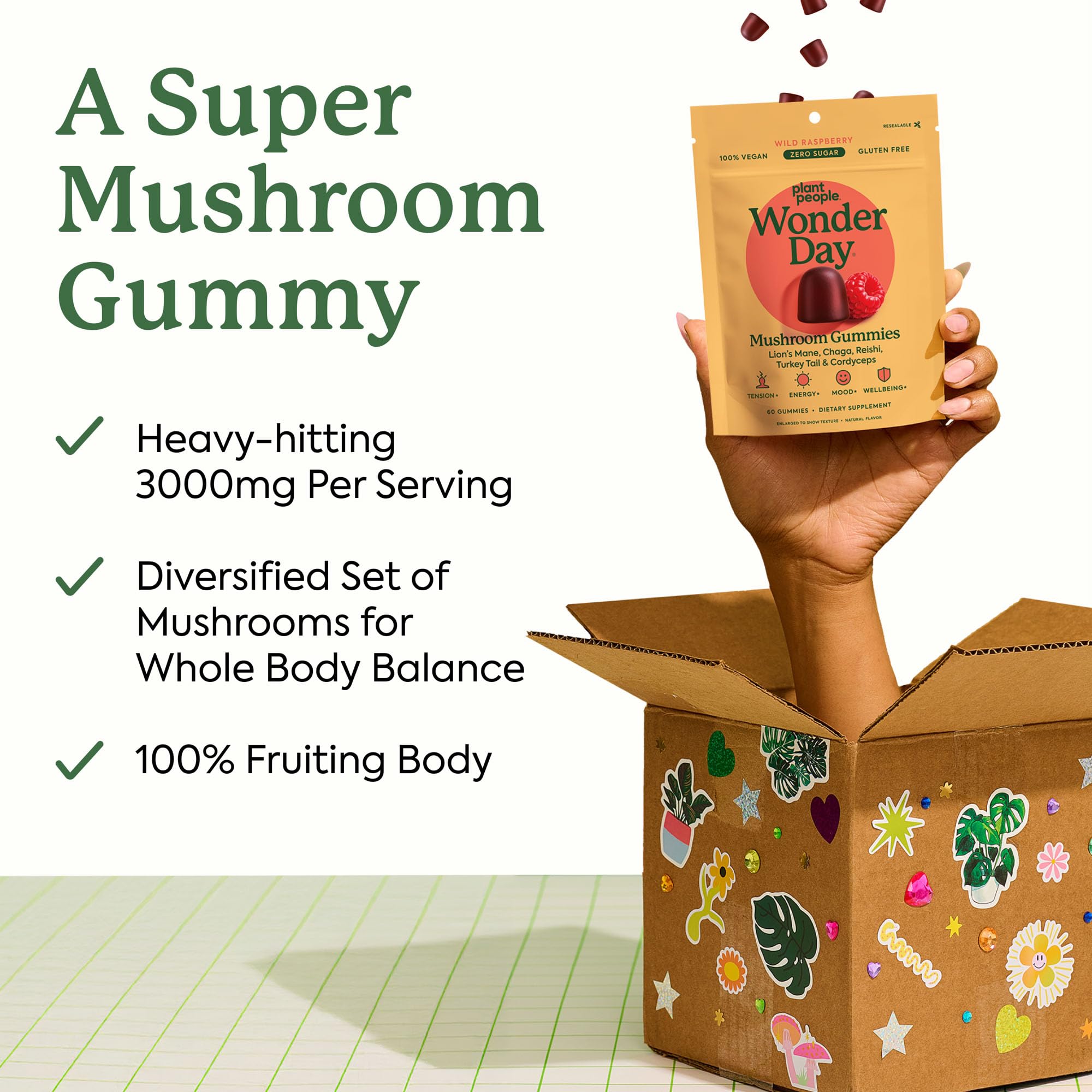 Immune support image featuring lion’s mane, cordyceps, and chaga