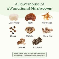 Lions mane, cordyceps, and chaga ingredients for energy and focus