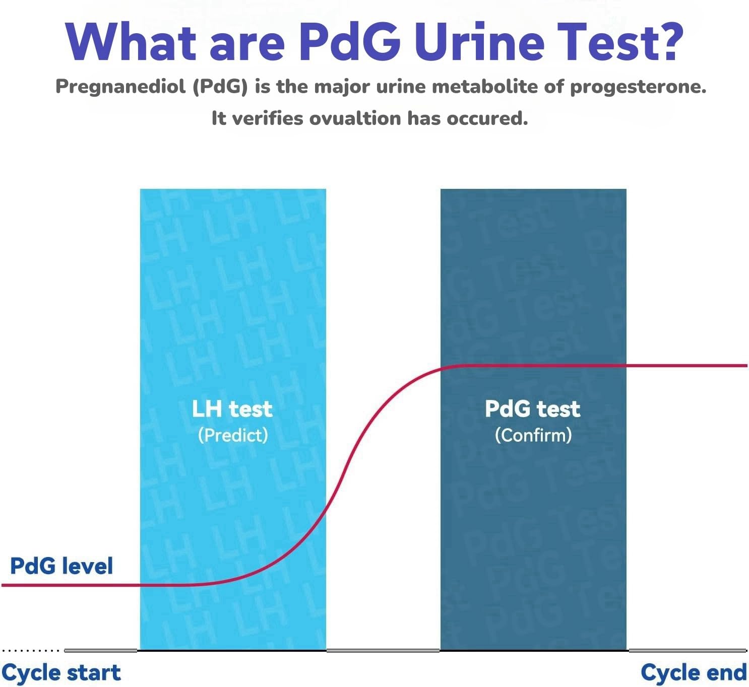 Close-up of a single PdG urine test strip