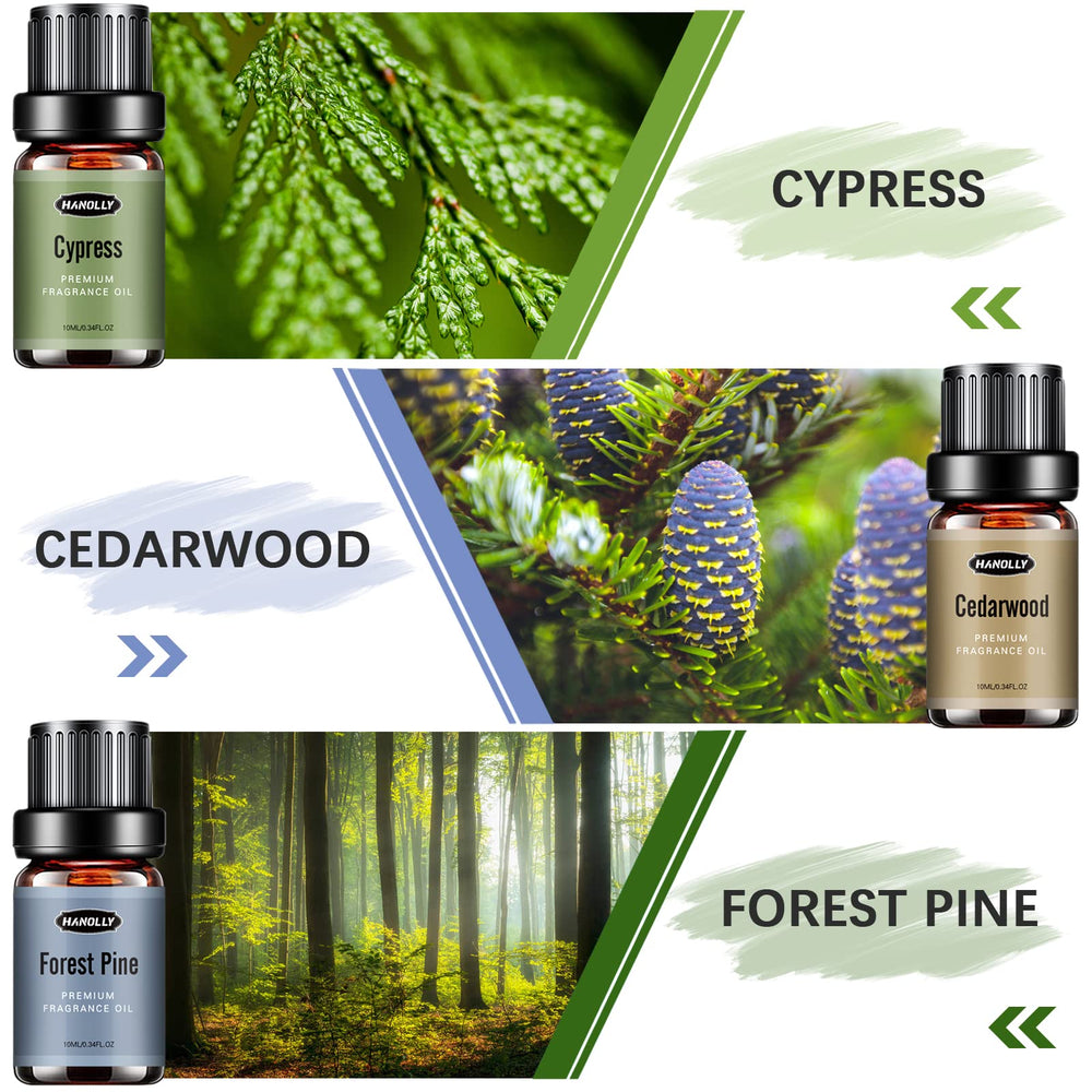 Sandalwood essential oil bottle 10ml from Woody Set