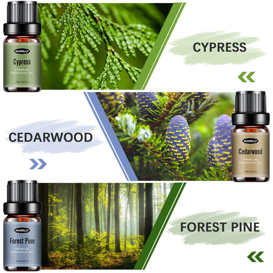 Sandalwood essential oil bottle 10ml from Woody Set