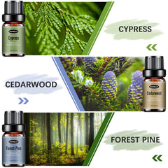 Sandalwood essential oil bottle 10ml from Woody Set