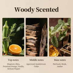 Ultrasonic diffuser emitting Woody Scent in a contemporary space