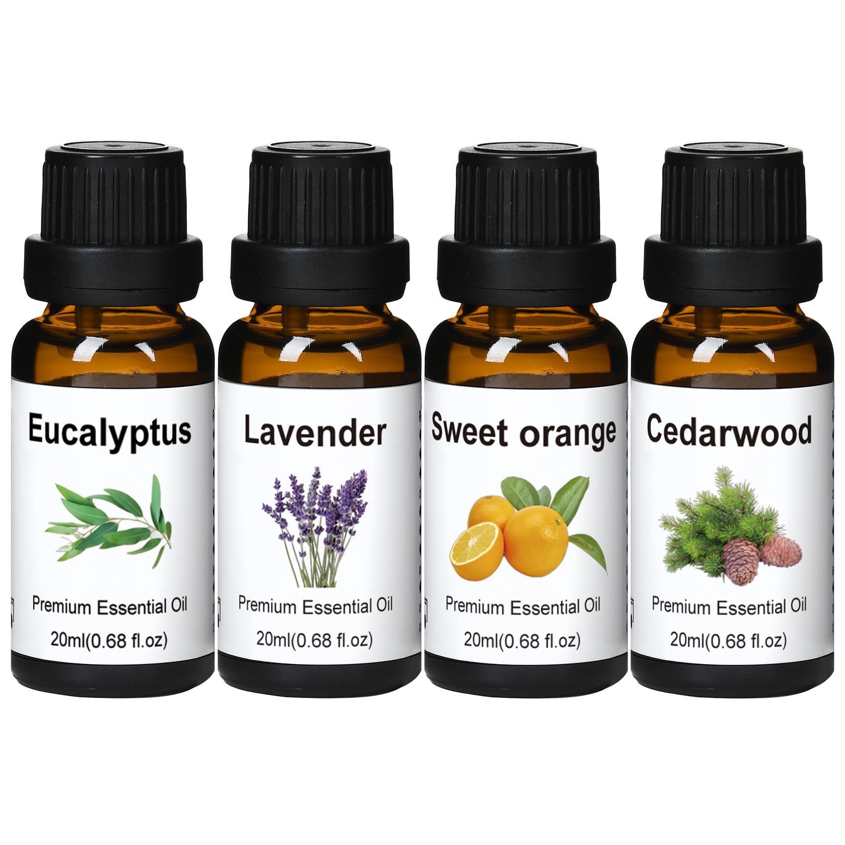 Wtrcsv essential oils set eucalyptus bottle for diffusers and aromatherapy.