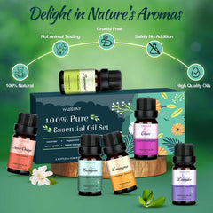 Sweet Orange essential oil fragrance