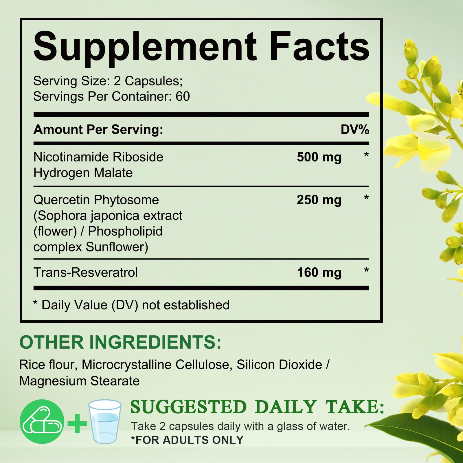 Liposomal NAD capsules displayed for product photo