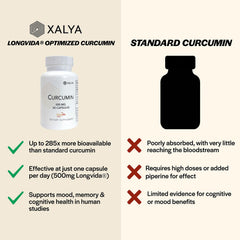 One capsule daily dosing, 500 mg per capsule