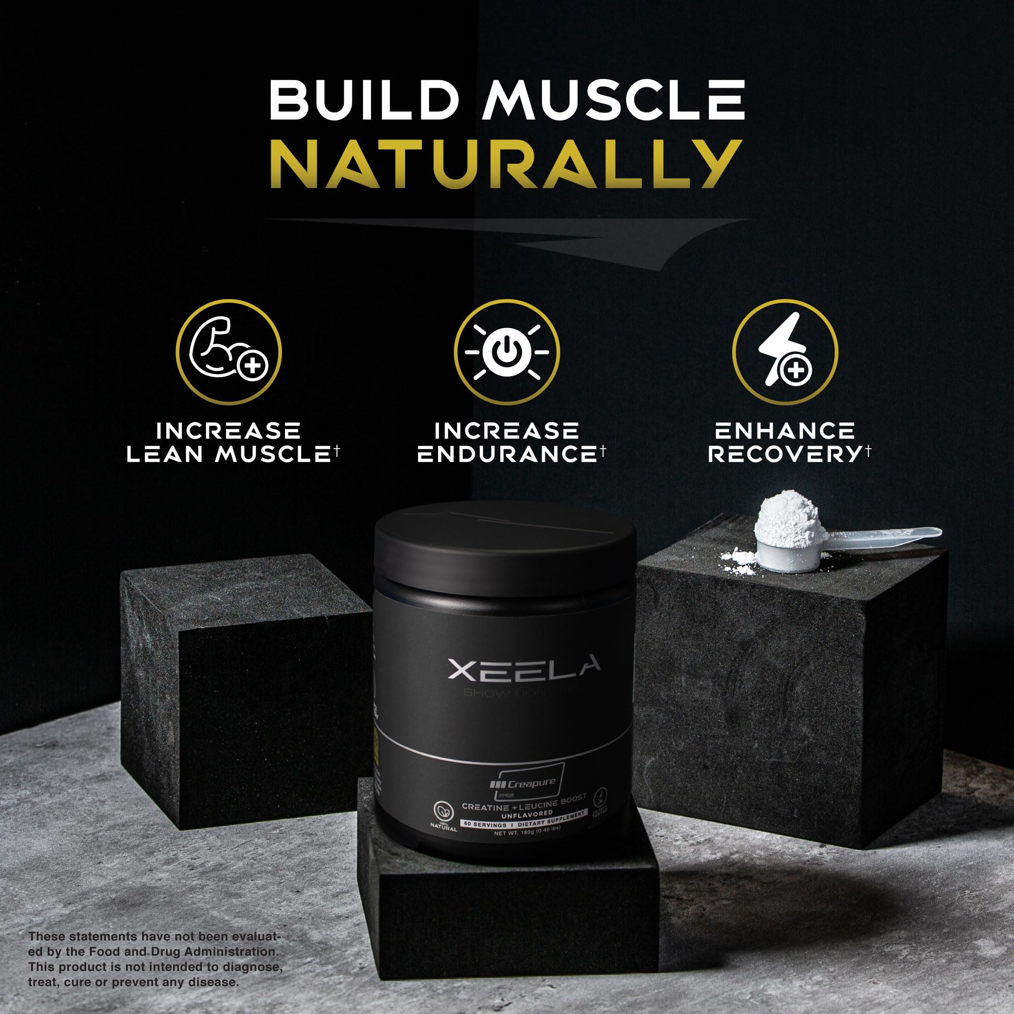 XEELA Creatine supporting brain and bone health