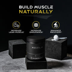 XEELA Creatine supporting brain and bone health