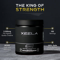 Illustration of strength and endurance benefits from XEELA Creatine