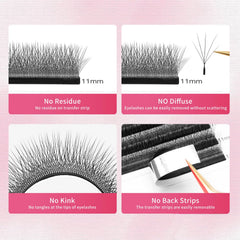 XIUSUZAKI W-shape lash base visibility supports precise pickup during application.