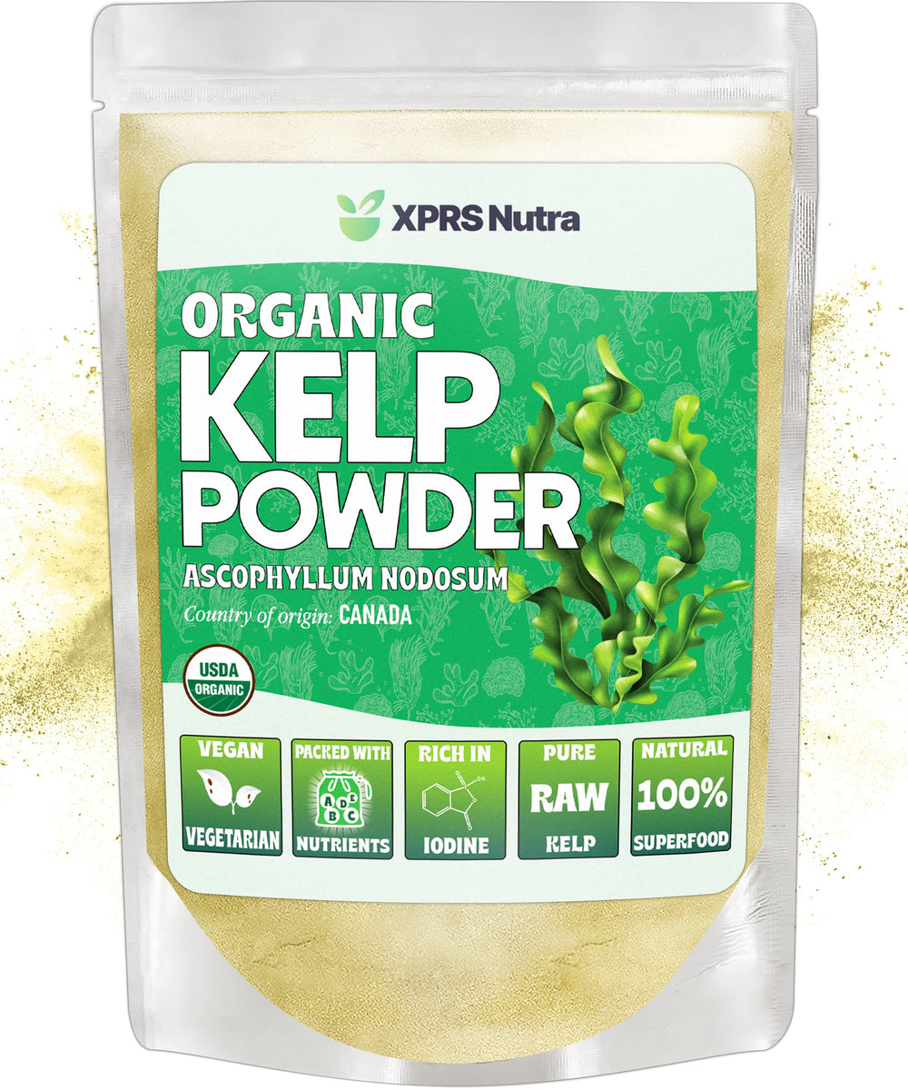Front view of XPRS Nutra Organic Kelp Powder 4 oz jar