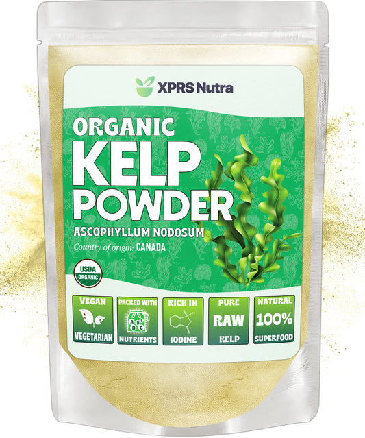Front view of XPRS Nutra Organic Kelp Powder 4 oz jar
