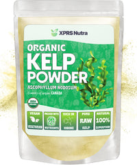 Front view of XPRS Nutra Organic Kelp Powder 4 oz jar