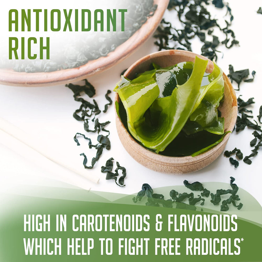 Kelp powder for smoothies and cooking - iodine-rich