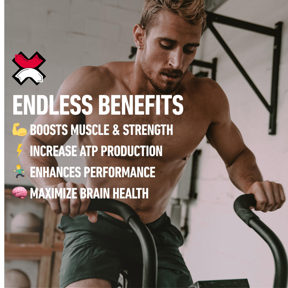 Ingredients list for Xwerks Build Creatine Gummies