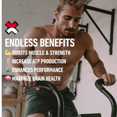 Ingredients list for Xwerks Build Creatine Gummies