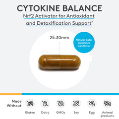 Close-up of Cytokine Balance ingredients including green tea extract